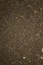 Livebait Allround Black Lokvoer 15 Kg