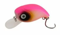 Masu Pit Bull 567 2.4 Gram